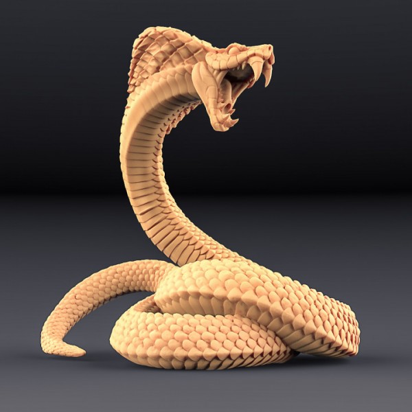 Giant Snake - B