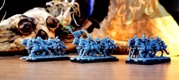 Shadow Elves - Full Scout Riders on Horse Regiment